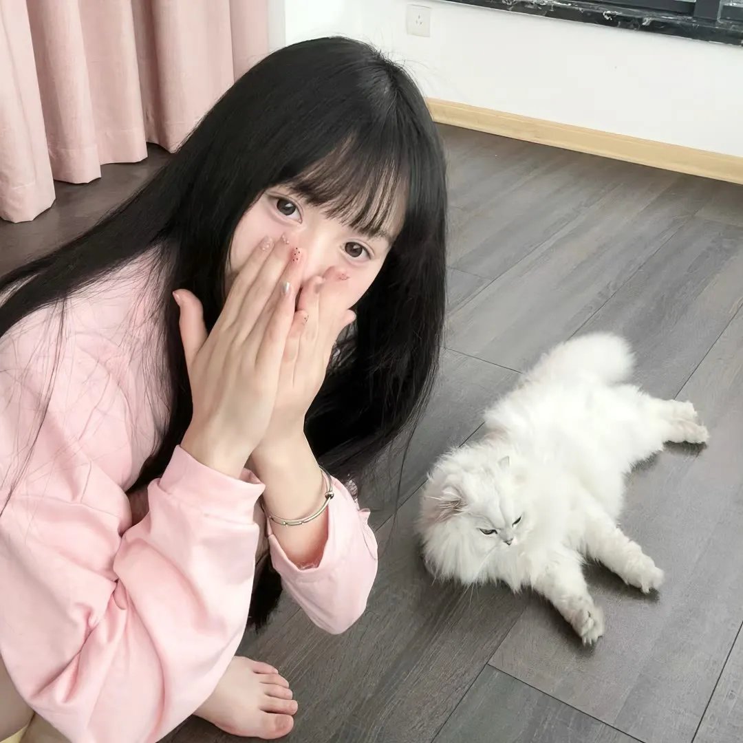 名门淑女